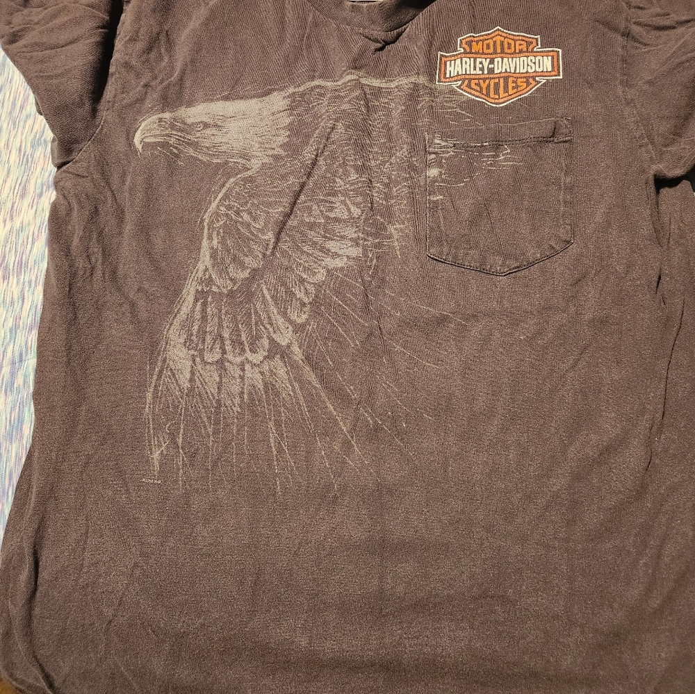Harley Davidson T-Shirt Flaming Gorge Rocks Spring, WY.